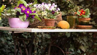 Der Alps Hof - Foto 3, Other