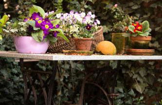 Der Alps Hof - Foto 3