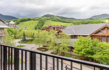 420 Lodge At Spruce Peak New Treehouse Unit 3 bed Sleeps 10 - Foto 28