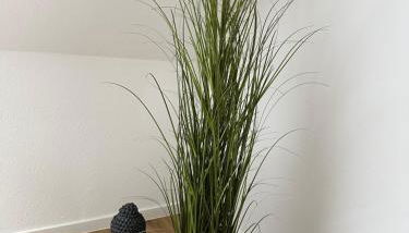 Grüne Oase am Küchwald - Foto 5