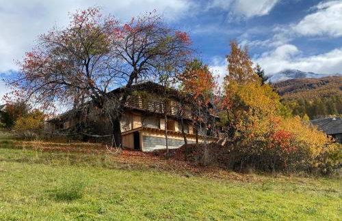 Maison de montagne Alpes du sud/station Les Orres - Photo 1