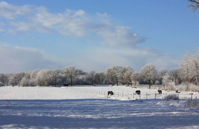 Elke Luthje Modern Retreat - Foto 13