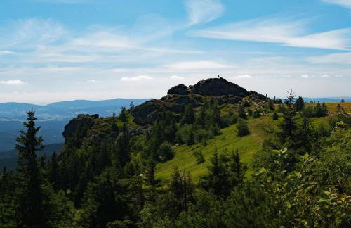 Ferienwohnung Dimpfl-Stad´l Fam. Lemberger - Foto 12