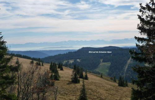 Holiday Home Elfi by Interhome - Foto 29