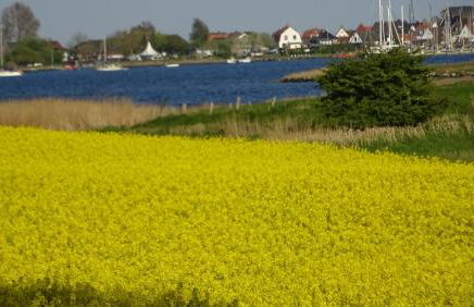 Fewo-Cicilie - Foto 20