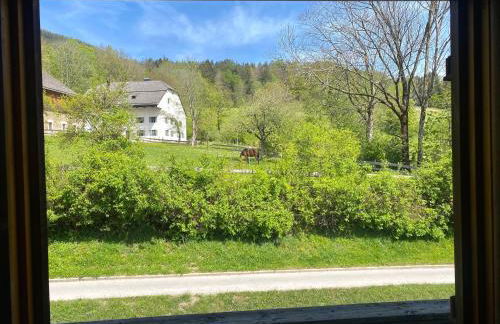 Belisima Apartments I Ferienwohnungen Fischbachau - Breitenstein I Region Schliersee I Historisch & Cozy mit Bergblick I 2 Schlafzimmer I Waschmaschine I Parkplatz I Nähe Supermarkt - Foto 40