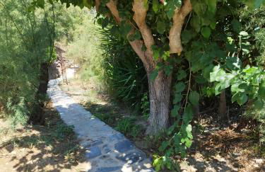 VILLA AGIA AIKATERINI - Foto 42