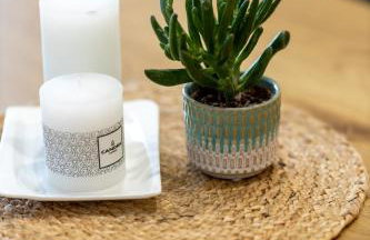 Apartamenty Termalne Dobry Klimat - Foto 33