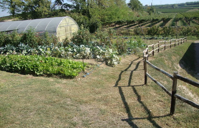 Agriturismo Le Tese - Foto 24