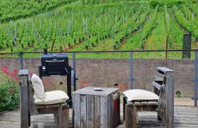 Au pied des vignes - Foto 1