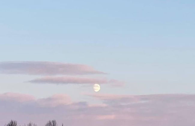 Álftártunga farm guesthouse - Foto 47