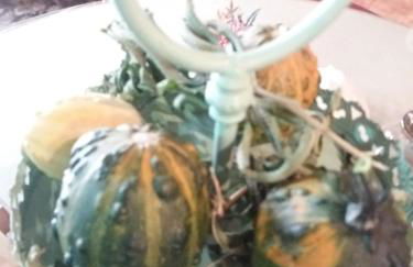 Casa de Campo dos Távoras - Foto 73