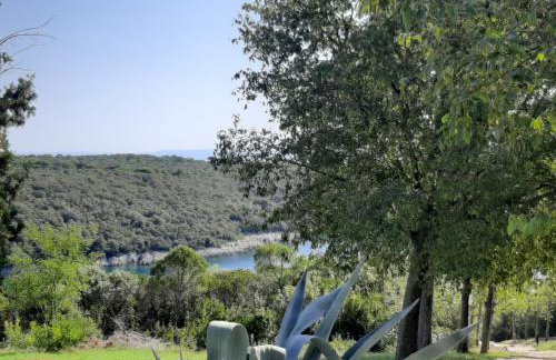 Apartments Unija Duga Uvala - Photo 13