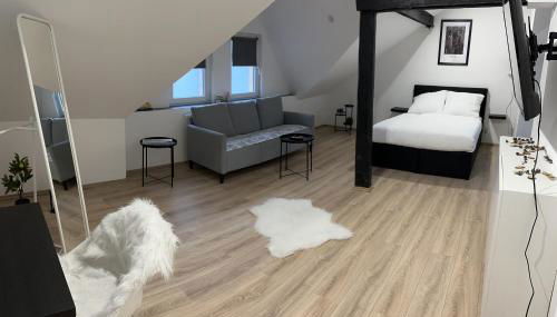 Modernes Loft am Dreiländereck - Foto 2