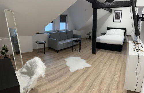 Modernes Loft am Dreiländereck - Foto 2