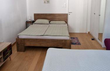 Chika Rijeka Urban Stay - Photo 26