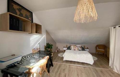 Duplex bohème et lumineux avec balcon, proche Lyon - Foto 6