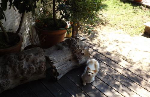 Agriturismo San Giacomo - Foto 44