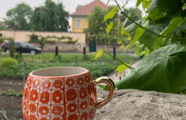 Wohnpension Litzkendorf - Foto 16