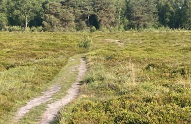 Linnis Strandhaus - Foto 13