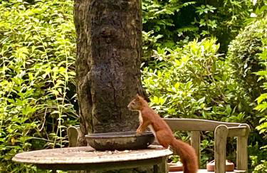 Studio im Haus Amselgarten - Foto 15