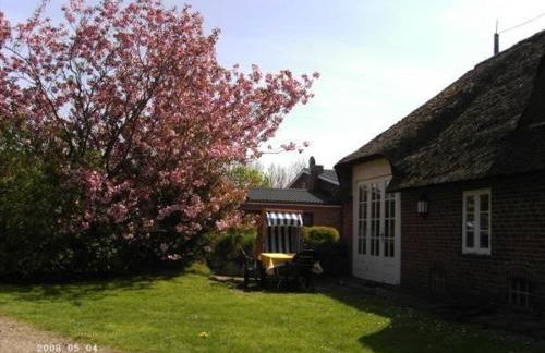 Hackerhof-Ostwohnung - Photo 1