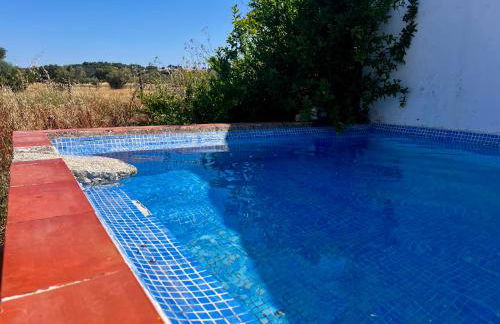 Qta Casa Seleiras - Guest House - Foto 73