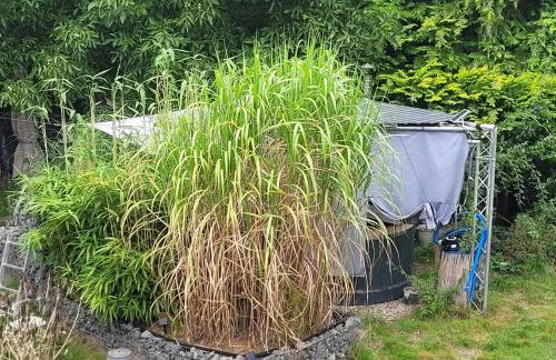 Waldtraum Wendland - Foto 8