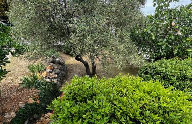 Meldaria Residence - Foto 16