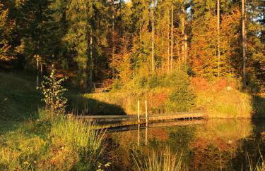 Apartament Buczyna - Foto 32