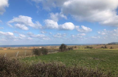 Au cœur du Sénéchal - Foto 40