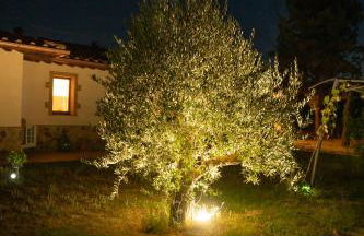 Agriturismo Anfora della Vita - Foto 37