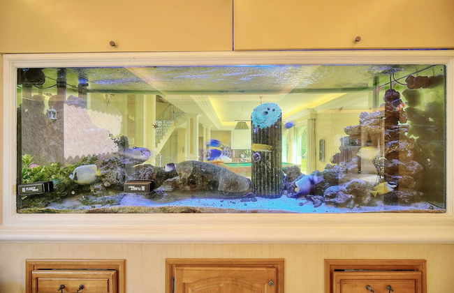 HAVRE DE PAIX" 5 étoiles Prestige jacuzzi, hammam, sauna, PISCINE chauffée Mougins Cannes Grasse - Foto 2