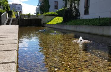 JPapartments Nadmorski Dwór - Photo 18