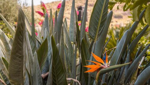 Villa Stefanotis - Foto 4