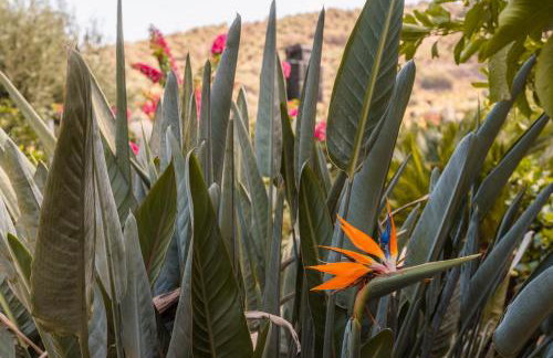 Villa Stefanotis - Foto 4