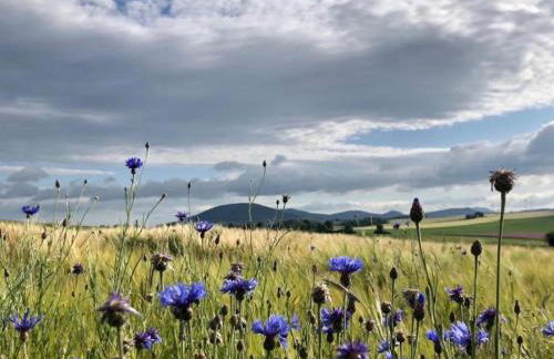 Ferienhaus Marlen - Foto 23