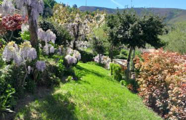 Casa do Loureiro - Foto 19