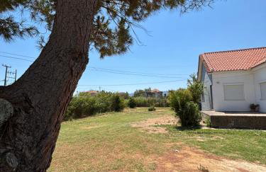 Modern Villa in Lesvos - Photo 26