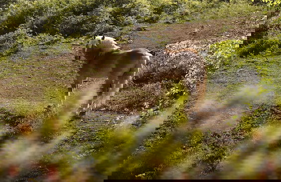 Tenuta Esdra - Foto 59