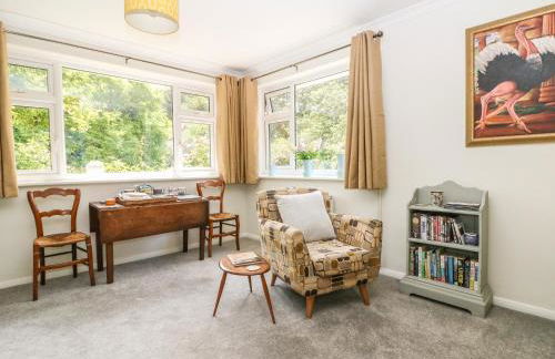 Little Yaffle - Foto 6