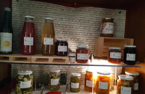 Agriturismo il Podere Vedelago con San Bernardo, Alpaca e una Pentola di cose da scoprire - Foto 74