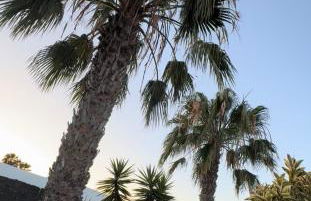 Villa Sarah - Foto 51