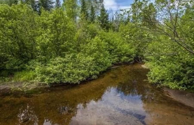 Le Bois Rond des Ruisseaux - Foto 21