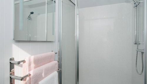 Shepherds Hut at Chenhall Farm - Foto 4