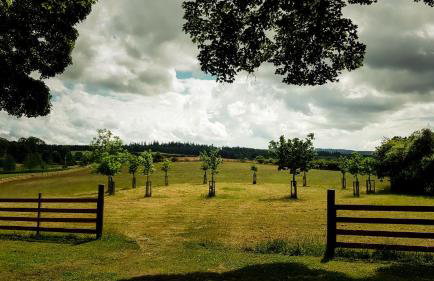 Marcassie Farm Lodges - Willow Studio - Photo 8