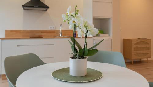 AT Negreira no Camiño - Foto 5