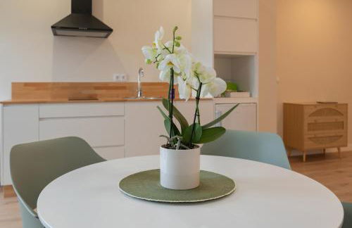 AT Negreira no Camiño - Foto 5