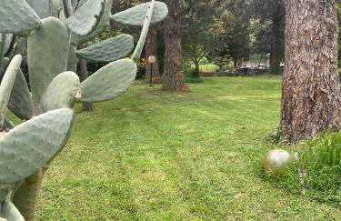 Agriturismo La Pila - Photo 54