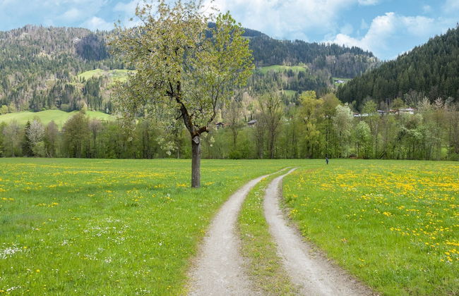 Property in Kirchbichl - Foto 64